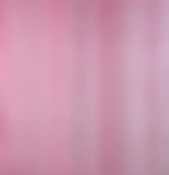 Rose bush (preview)