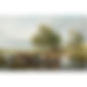 On A Dairy Farm (preview)