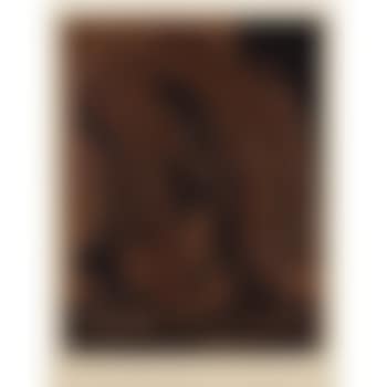 Femme Nue Cueillant Des Fleurs (B. 1092) (preview)