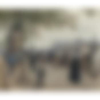 Le Pont Neuf (preview)