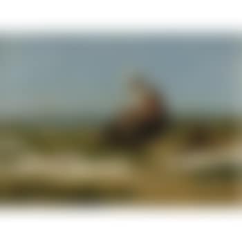 A Young Woman From Katwijk (preview)