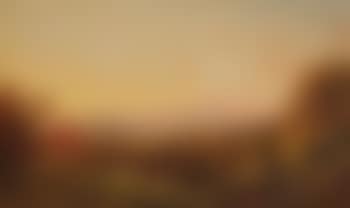 Extensive autumn vista with cattle (preview)