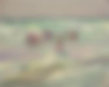 Bathing beach (preview)