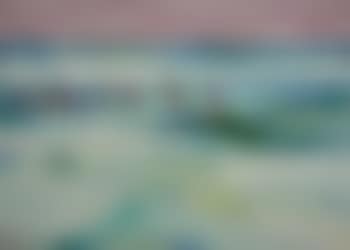 The Bathers, Surf (preview)