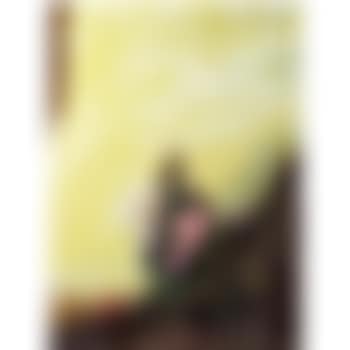 Figure in mountain landscape (cave painting) (preview)