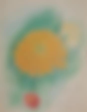 Yellow zinnia (preview)