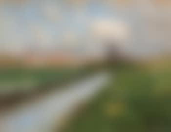 Dutch landscape with daffodils (preview)