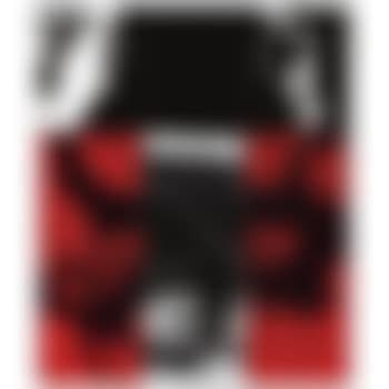 The basket (preview)