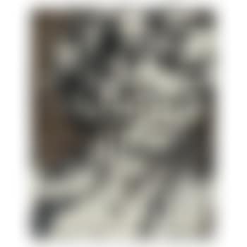 Head of Helen Gillespie (preview)