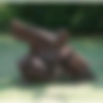 Single whip 1/8 (preview)