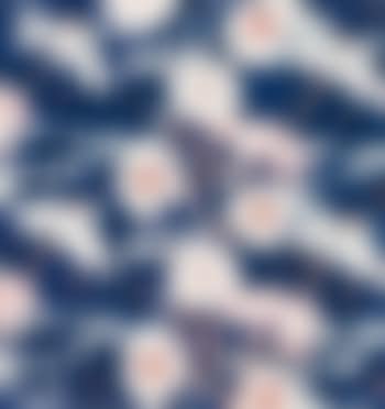 Wieseblutenrapport auf Dunkelblau (preview)