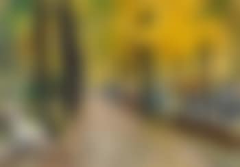 Herbstliche Allee im Tiergarten (preview)