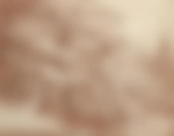 La baigneuse surprise (preview)