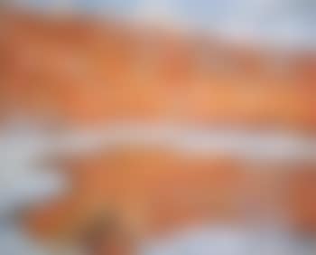 Lac en hiver (preview)