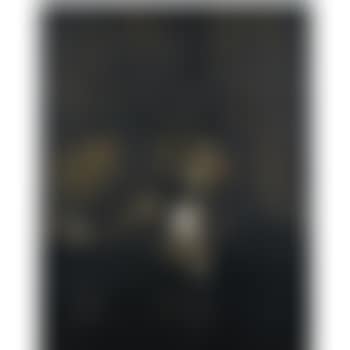 Abstract (preview)