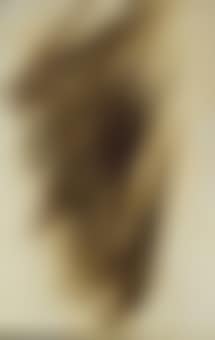 T1956-17 (preview)