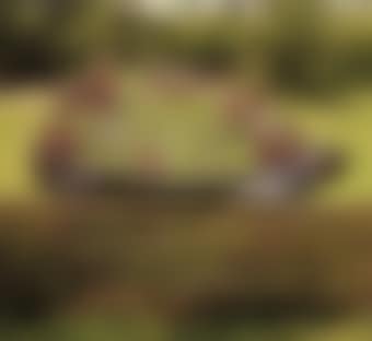 Tortue Topiaire III (preview)