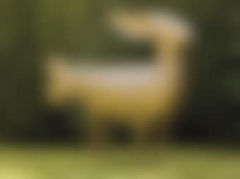 Lapin A Vent (preview)