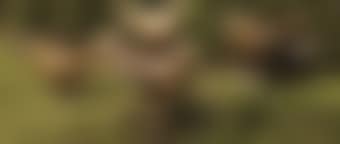 Oiseau De Jardin III B. (preview)