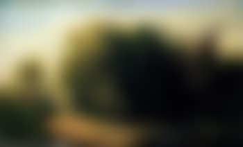 Paysage boise (preview)