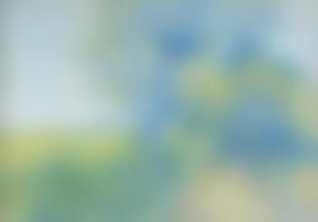 Paysage au printemps (preview)