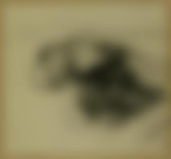 Pflugzieher (preview)