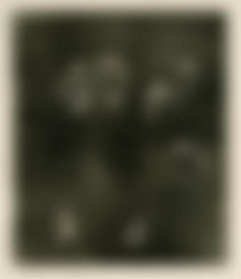 Das Volk (preview)