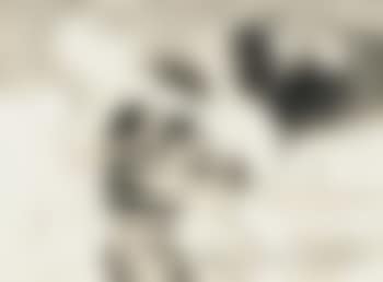 Corrida (preview)