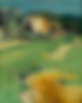 La vallée du Rhone (preview)