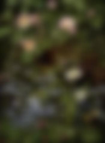 Dog roses, forget-me-not, daisies, buttercups and clover; in the centre a bird's nest with eggs (preview)