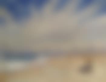 Badeliv paa Skagens Nordstrand. Middagssol. Seaside life on Skagen beach in the midday sun (preview)