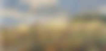 Contadino e buoi (preview)