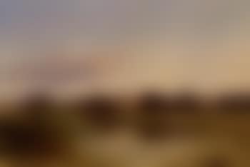 View of a lake, in the background a house with a thatched roof (preview)