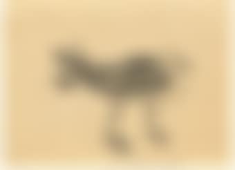 A Peculiar Gull (preview)