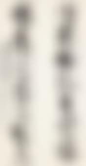Calligraphy Couplet (preview)