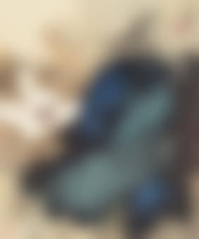 Lotus (preview)