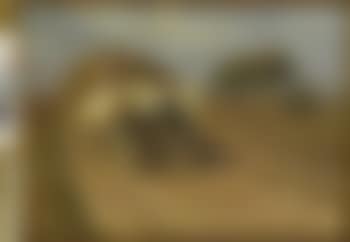 Bauer mit Heuwagen (preview)