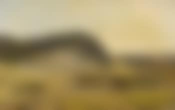 Harzlandschaft mit Schafer und Herde (preview)