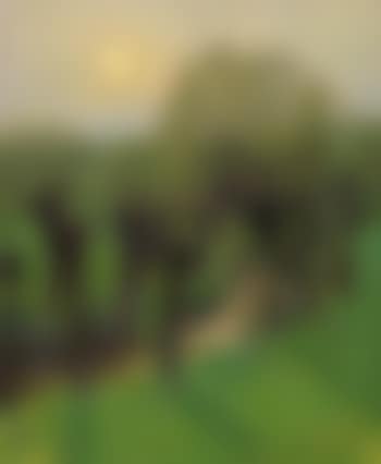 Kopfweiden am Schwarzbach bei Wittlaer (preview)