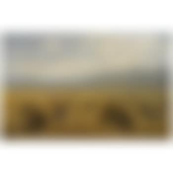 The Haymakers (preview)