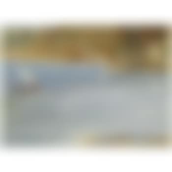 The Two Lateen Sails (preview)