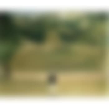 The Deer Park (After Velasquez, 'The Boar Hunt') In Memory Of Michael Andrews 1928-1995 (preview)