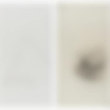 Pair Of Drawings (preview)