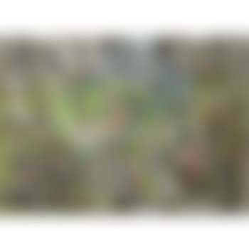 Oeurope Même (preview)