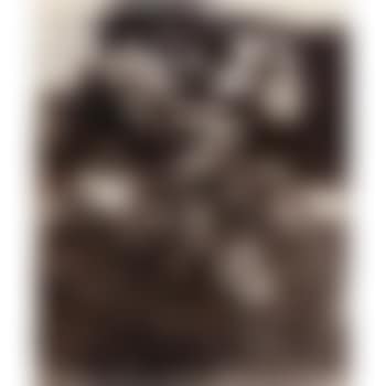 Bagatelle (Roses) (preview)