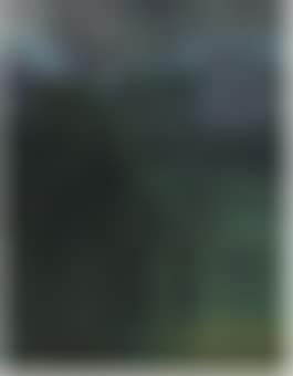 Selva tropical, tormenta (preview)