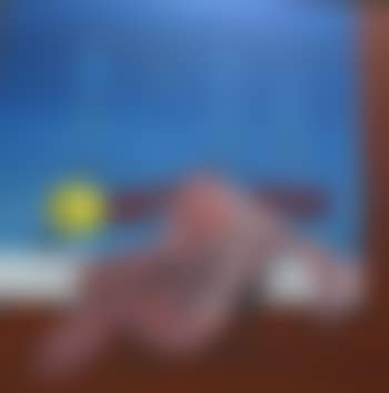 Nu allongé (preview)