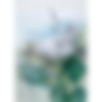 Prenauther Alba (preview)