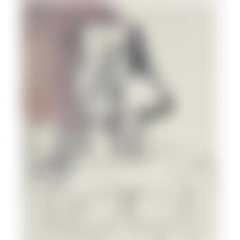 Buste De Femme (preview)