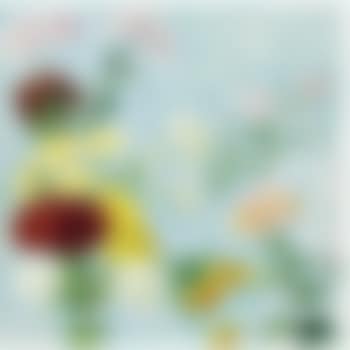 Étude De Chrysanthèmes I (preview)